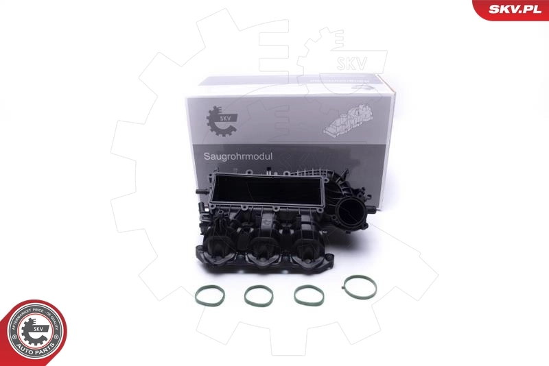 Intake Manifold Module